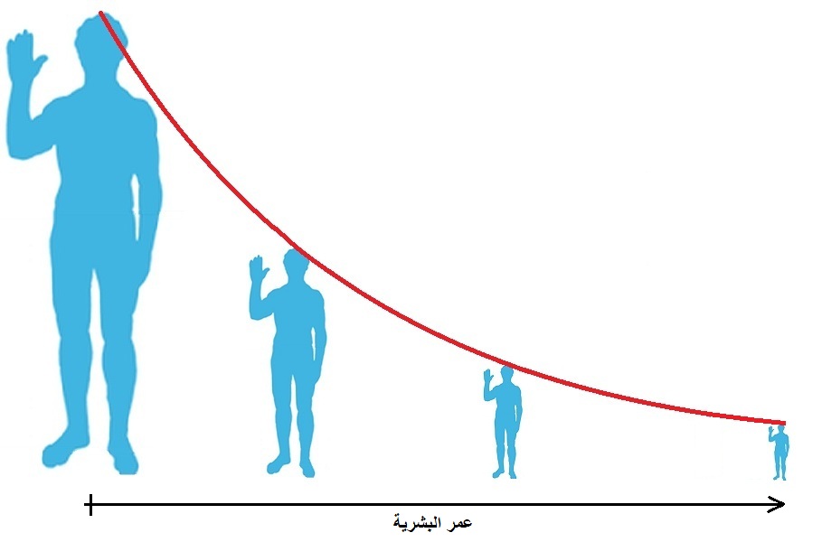 ما هو الطول الطبيعي للإنسان؟