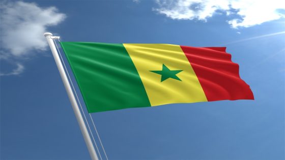 ما معنى ألوان علم السنغال ؟